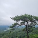 충북 괴산 사랑산(647m) 등산 코스 이미지