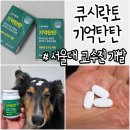 (주)바이오브레인 | 뇌영양제 추천 어버이날 선물은 큐시락토 기억탄탄