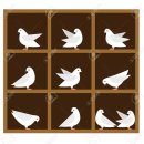 비둘기집 이미지