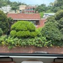 해안로1L 이미지