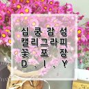 새나빛