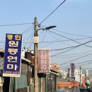 대창철물점 | [문래] 문래동 맛집 데이트 한우대창 닭도리탕, 꼬꼬식닭