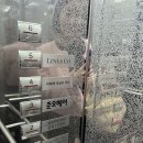 화이트미용실 | 강남역미용실 준오헤어 강남화이트점 내돈내산 후기