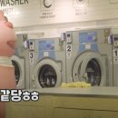 워시벨리 이미지