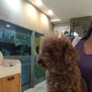 마로동물병원 이미지