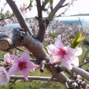 영우농장 이미지