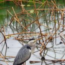 덕진-31 | 전주 차박 여행 후기｜덕진공원 차박, 전동성당, 한옥마을 맛집 보석육회김밥