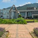 허브밸리(암석원) 이미지