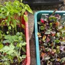 경일비트 이미지