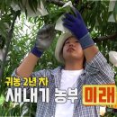 삼대농장 네이버블로그