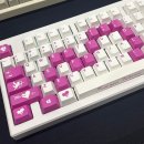 건돈 | 2026 SMKX 기계식 키보드 박람회 방문 후기 (Feat. 녹프리)