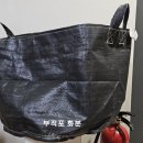 블루베리화분 판매(카펫트, 부직포) 이미지