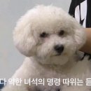 다