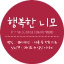 루이앤독스 | 니모세균 데이트일기♡ (개린이날, 가평여행, 2000일, 곡성, 송도, 커플슬리퍼, 니모생일, 부산여행)