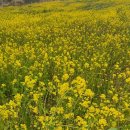 봄봄유통 이미지