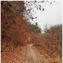 원수산 누리길 이미지