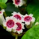 산길노래연습장 이미지