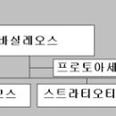 메타로폴리스로 | 10세기 이후의 관직, 작위 체계