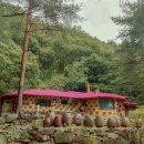 달둔소낭펜션 이미지