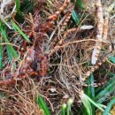 (주)성우식품 이미지