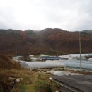 이강농장 이미지