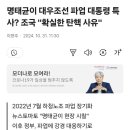 명태균이 대우조선 파업 대통령 특사? 조국 "확실한 탄핵 사유" 이미지