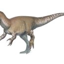 애니멀 패밀리 이미지