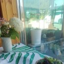 여가 민박 이미지