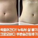 몽지테라피앤아로마앤스킨케어 | [홀리스떼생생후기] 크로모바디로 여자 뱃살 빼는 법, 누워서 허벅지 살빼기 리얼후기