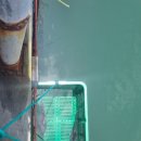 대호낚시터 이미지