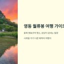 월류봉~반야사 문화생태탐방로 | 영동 월류봉 여행 가이드 | 둘레길, 야경, 대표 음식 총정리🍇