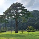 속리산 법주사 이미지