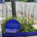 남문목재 | 2025 국제정원박람회(보라매공원), 목재페스티벌 후기