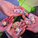 차와 함께 일상으로의 여행 이미지