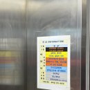 서원동-12 | [서울/관악] 신림 순대촌 양지순대타운 3층 나의 또간집 백순대 맛집 후기 &lt;미림원조통통&gt;