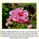 좋은하루치과의원 이미지