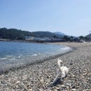 해림민박 이미지