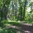 산책길에 이미지