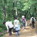 푸른산