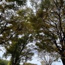 그린골프연습장 | 전남 영암 가성비 좋은 신북파3 신북골프연습장 내돈내산 후기(그린, 가격, 상태)