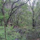 원평보건진료소 이미지