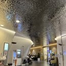 태안한의원 | 2025년 10월의 일상(동결이식, 담양여행,서울데이트)