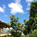 수우농장 이미지