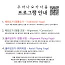 하타요가 기초(All Level) | 플라잉요가 수업 : "허리 통증이 사라졌어요, 기초 플라잉요가 후기" - 수원 호매실 플라잉요가 수업 후기
