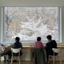 장안웃길 | 평택 송탄 보아즈맨션ㅣ제니도 다녀간 은혜로 벚꽃길 벚꽃뷰 감성카페 내돈내산 후기