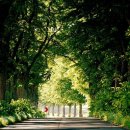 더 부동산 이미지