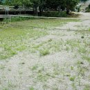 맑은물민박 이미지