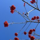 마니시스템 이미지