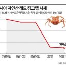 4년 만에 가격 내렸다는 킹크랩 이미지