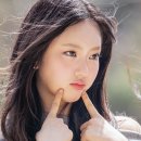 이솔 카카오 검색결과